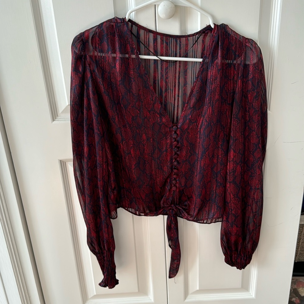 Zara holiday sheer Long sleeve blouse size XS